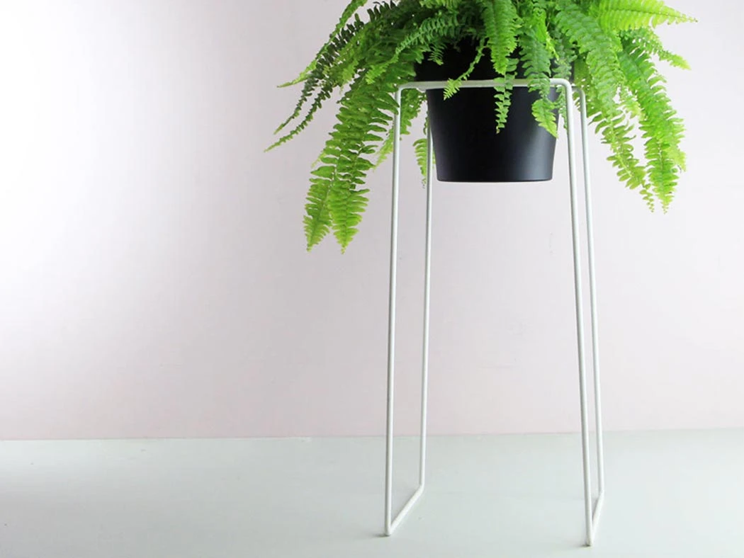 Bendo Plant Stakes & Stands 'TALL' Indoor Plant Stand & Medium Pot Bundle 14 Bendo Plant Stakes & Stands 'TALL' Indoor Plant Stand & Medium Pot Bundle