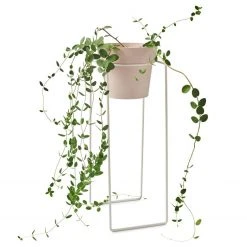 Bendo Plant Stakes & Stands 'TALL' Indoor Plant Stand & Medium Pot Bundle 24 Bendo Plant Stakes & Stands 'TALL' Indoor Plant Stand & Medium Pot Bundle