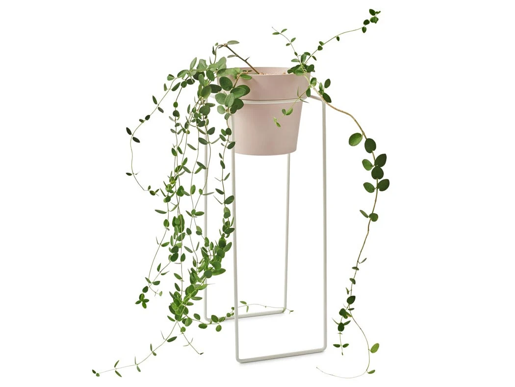 Bendo Plant Stakes & Stands 'TALL' Indoor Plant Stand & Medium Pot Bundle 13 Bendo Plant Stakes & Stands 'TALL' Indoor Plant Stand & Medium Pot Bundle