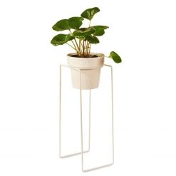 Bendo Plant Stakes & Stands 'TALL' Indoor Plant Stand & Medium Pot Bundle 23 Bendo Plant Stakes & Stands 'TALL' Indoor Plant Stand & Medium Pot Bundle