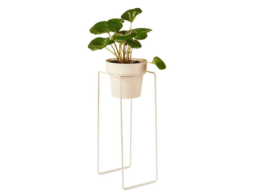 Bendo Plant Stakes & Stands 'TALL' Indoor Plant Stand & Medium Pot Bundle 12 Bendo Plant Stakes & Stands 'TALL' Indoor Plant Stand & Medium Pot Bundle