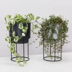 Elho Plant Stakes & Stands Eco Friendly ♻️ - Pot & Stand