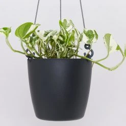 Gifts Pots & Hanging Baskets Eco-Friendly Self-Watering Hanging Basket