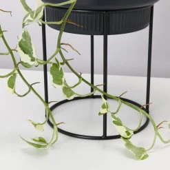 Elho Plant Stakes & Stands Eco Friendly ♻️ - Pot & Stand