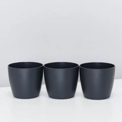 Elho Plant + Pot Multi Packs Mini Eco Gifting Pots With Cacti