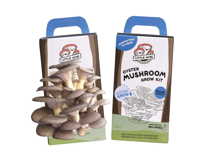 Little Acre Gourmet Mushrooms Blue Oyster Mushroom Grow Kit Gift Kits 3 Little Acre Gourmet Mushrooms Blue Oyster Mushroom Grow Kit Gift Kits