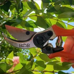 Outdoor Accessories Burgon & Ball RHS Bypass Secateur