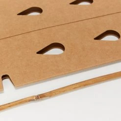 GreenGuard Biodegradable Plant Shield ♻️