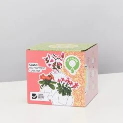 Plants In A Box Clear Glass Self-Watering Planter 12 Plants In A Box Clear Glass Self-Watering Planter