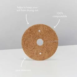 Succulents Snake Plants Sansevieria Trifasciata Golden Hahnii - Pot + Plant + Soil