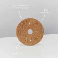 Pot + Plant Gift Box The Beginners Gift Box ???? Easy Care Plants