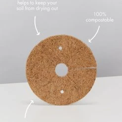 Indoor Garden Easy Care Plants Mr Kitly 4 Houseplants & 4 Pots 21 Indoor Garden Easy Care Plants Mr Kitly 4 Houseplants & 4 Pots