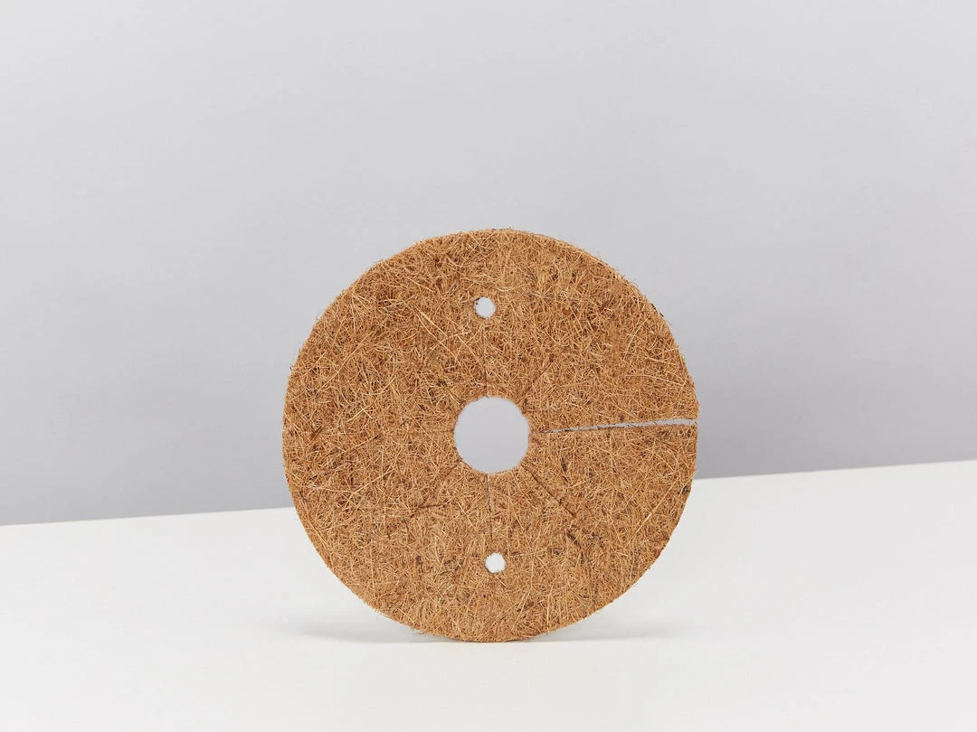 Pot + Plant Gift Box Monstera Taurii +Pot + Plant + Soil + Arch Stakes 6 Pot + Plant Gift Box Monstera Taurii +Pot + Plant + Soil + Arch Stakes