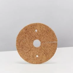 Pot + Plant Gift Box Aglaonema Thai Snowflake - Pot + Plant + Soil