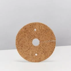 Pot + Plant Gift Box Rhaphidophora Gift Box - Pot + Plant + Soil + Double Arch Stake Easy Care Plants