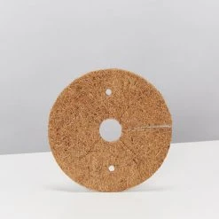 Pot + Plant Gift Box Heart Fern - Pot + Plant + Soil Air Purifying