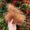 Plants In A Box Outdoor Accessories Coconut Coir (loose Bag) 2 Plants In A Box Outdoor Accessories Coconut Coir (loose Bag)
