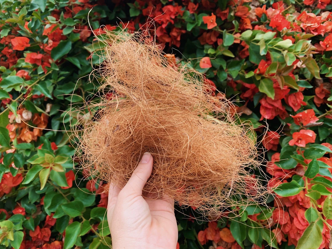 Plants In A Box Outdoor Accessories Coconut Coir (loose Bag) 3 Plants In A Box Outdoor Accessories Coconut Coir (loose Bag)