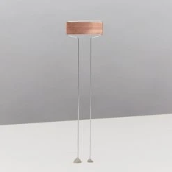 Ryset Copper Standing Plant Label