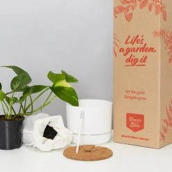 Pot + Plant Gift Box The Beginners Gift Box ???? Easy Care Plants