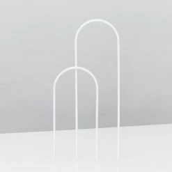 Pot + Plant Gift Box Rhaphidophora Gift Box - Pot + Plant + Soil + Double Arch Stake Easy Care Plants