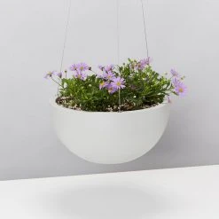 Indoor Garden Eco Hanging Baskets + Plants Combo Plant + Pot Multi Packs