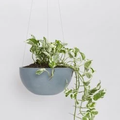 Ecopots Pots & Hanging Baskets Eco-Friendly Hanging Planters