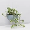 Ecopots Pots & Hanging Baskets Eco-Friendly Hanging Planters