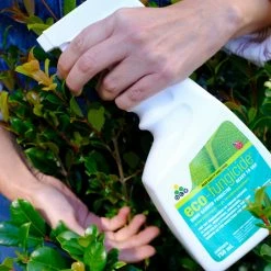 Outdoor Accessories Eco Organic Fungicide