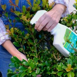 Outdoor Accessories Eco Organic Fungicide