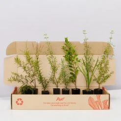 Shrubs The Edible Plants Pack