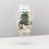 Plants In A Box Elho Aqua Care ♻️ - Watering System Transparent