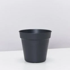 Elho Outdoor Accessories Eco-Friendly Grow Pots - Inserts For Pots