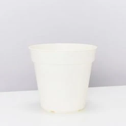 Elho Outdoor Accessories Eco-Friendly Grow Pots - Inserts For Pots 13 Elho Outdoor Accessories Eco-Friendly Grow Pots - Inserts For Pots