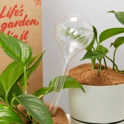 Plants In A Box Elho Aqua Care ♻️ - Watering System Transparent 13 Plants In A Box Elho Aqua Care ♻️ - Watering System Transparent