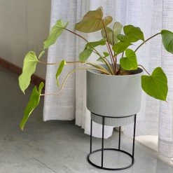 Elho Plant Stakes & Stands Eco Friendly ♻️ - Pot & Stand