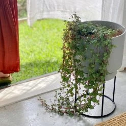 Elho Plant Stakes & Stands Eco Friendly ♻️ - Pot & Stand