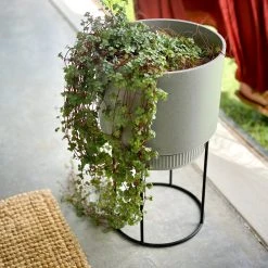 Elho Plant Stakes & Stands Eco Friendly ♻️ - Pot & Stand