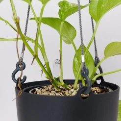 Gifts Pots & Hanging Baskets Eco-Friendly Self-Watering Hanging Basket