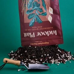 The Hoarders Plant Care Indoor Plant Mix With Neem 3.5L