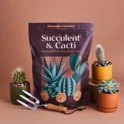 The Hoarders Plant Care Succulent & Cacti Mix 3.5L