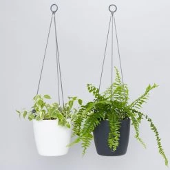 Gifts Pots & Hanging Baskets Eco-Friendly Self-Watering Hanging Basket