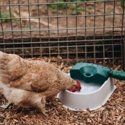 Hoselink Auto-fill Pet Bowl + 5m Hose & Tap Connector Hoses & Sprinklers 11 Hoselink Auto-fill Pet Bowl + 5m Hose & Tap Connector Hoses & Sprinklers