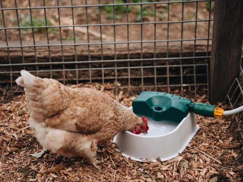 Hoselink Auto-fill Pet Bowl + 5m Hose & Tap Connector Hoses & Sprinklers 6 Hoselink Auto-fill Pet Bowl + 5m Hose & Tap Connector Hoses & Sprinklers