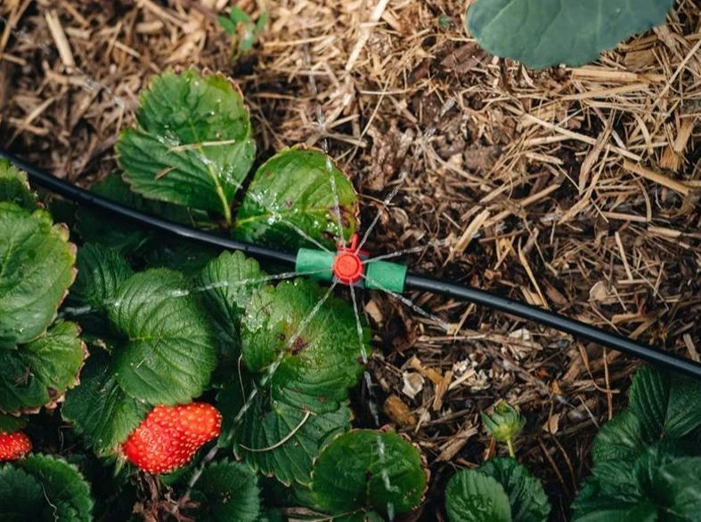 Hoselink Mini Sprinkler Kit 3 Hoselink Mini Sprinkler Kit