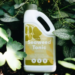 Hoselink Courtyard Gardener Pack With Hose Reel