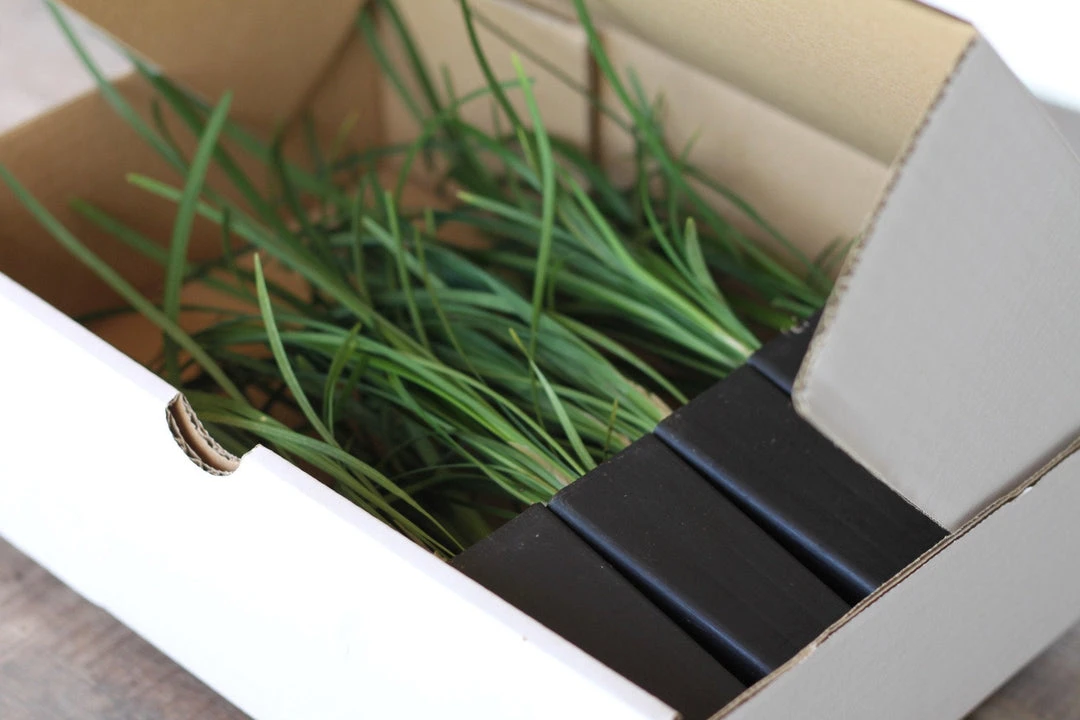 Shrubs Full Sun Liriope Muscari Big Blue 7 Shrubs Full Sun Liriope Muscari Big Blue