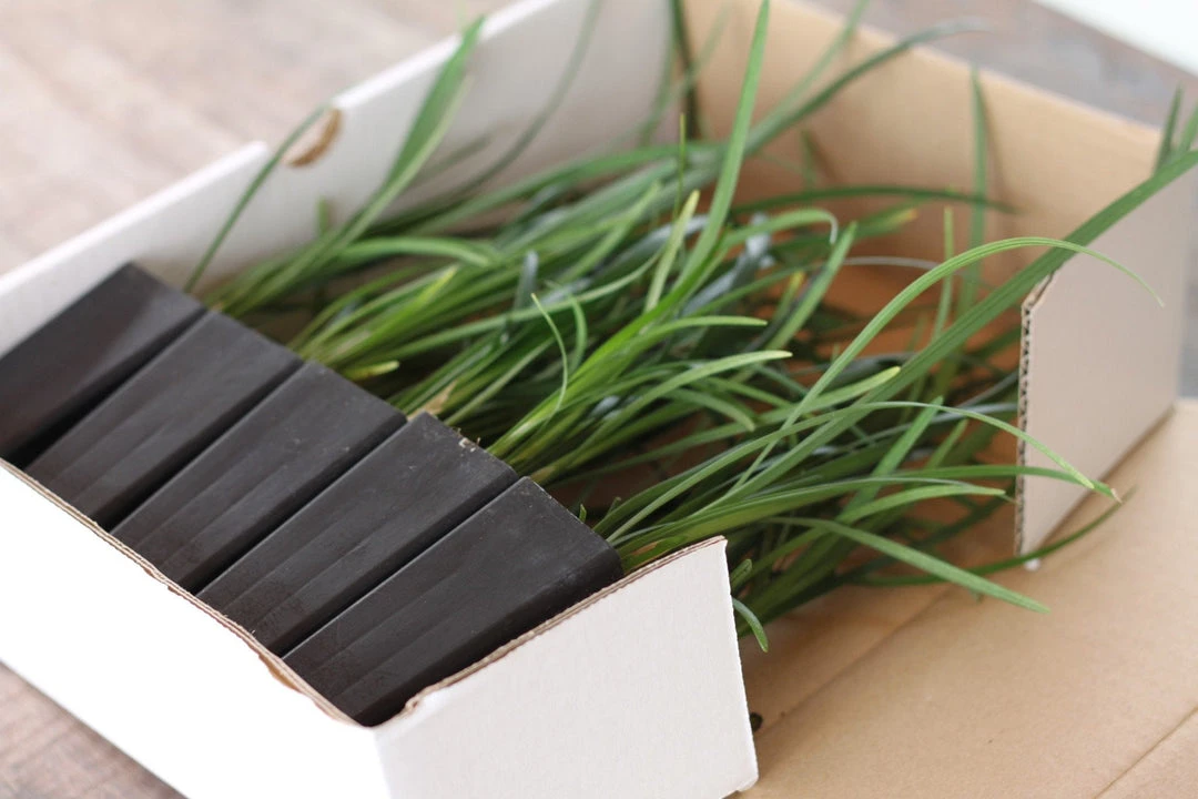 Shrubs Full Sun Liriope Muscari Big Blue 8 Shrubs Full Sun Liriope Muscari Big Blue