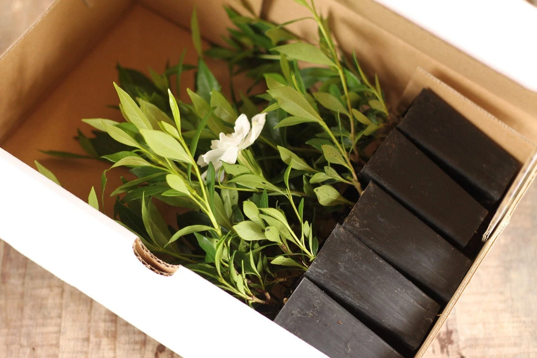 Shrubs Gardenia Augusta Radicans Low-Growing Plant Pack 4 Shrubs Gardenia Augusta Radicans Low-Growing Plant Pack