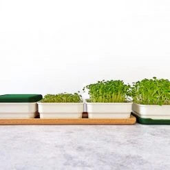 Micropod Continuous Grow Kit Gift Kits 14 Micropod Continuous Grow Kit Gift Kits